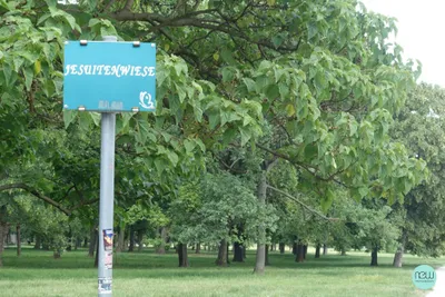 1-Zimmer-Gewerbeimmobilie mieten in Wien – 72 m², € 1.136 – Bild 4 von 8