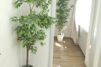 Wohnung mieten in Wien – 35 m², € 900 – Bild 10 von 10