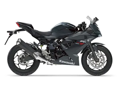 Kawasaki Ninja 125 MY26