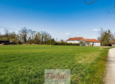 Grundstück kaufen in Wels-Land – 6 000 m² – Bild 3 von 8