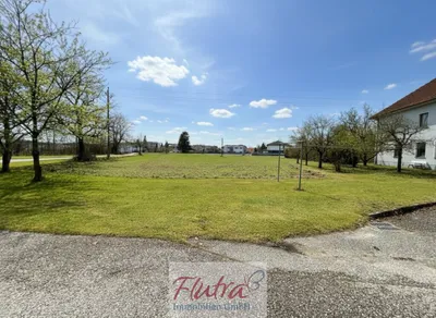 Grundstück kaufen in Wels-Land – 6 000 m² – Bild 2 von 8