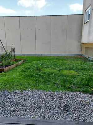2-Zimmer-Wohnung mieten in Graz – 50 m², € 693 – Bild 6 von 6
