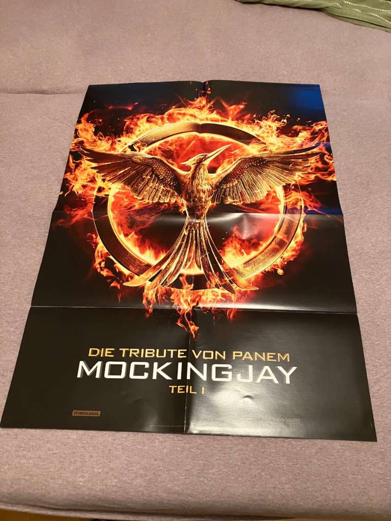 Das Filmplakat der Tribute von Panem