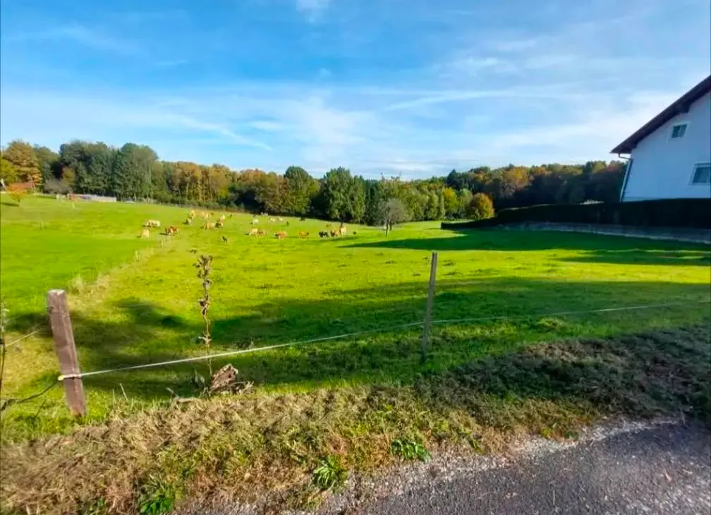 Idyllisches, preiswertes Grundstück am Waldrand als optimale Wertanlage oder zur Bebauung! - Ansicht 2