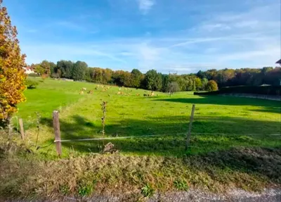 Grundstück kaufen in Güssing – 6 455 m², € 60.000