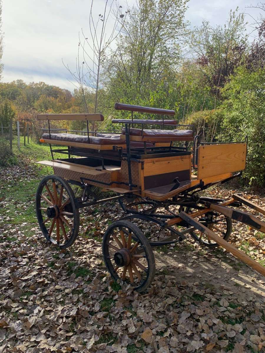 Wagonette Ausverkauf