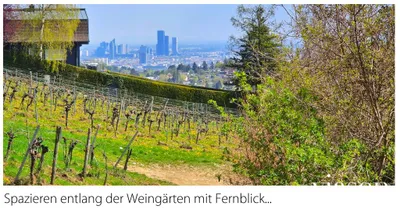 4-Zimmer-Wohnung kaufen in Wien – 150,31 m², € 799.000 – Bild 75 von 79