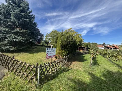 Grundstück kaufen in Südoststeiermark – 766 m², € 41.980 – Bild 3 von 9