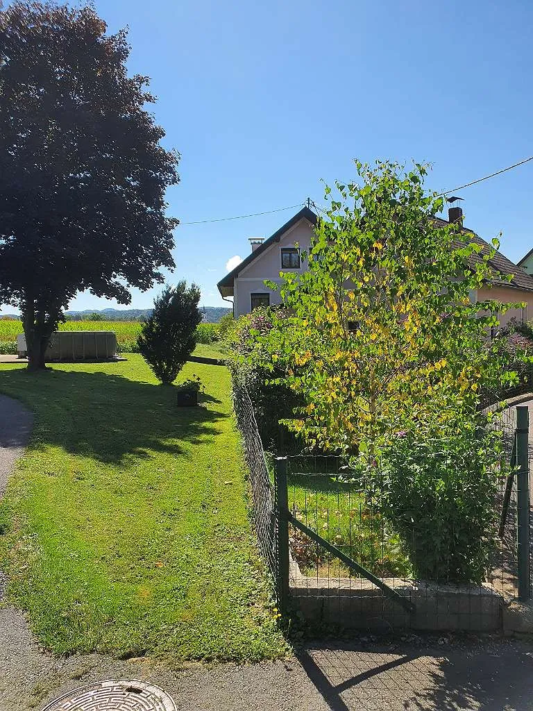 Exklusives Immobilienangebot: Zwei Wohnhäuser im Verbund in Ruhelage in Gleinstätten (2363) - Ansicht 3