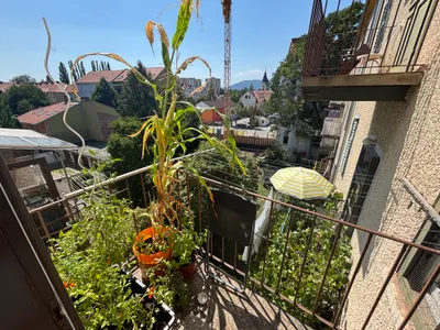 Wohnung kaufen in Graz – 64 m², € 209.000 – Bild 11 von 12