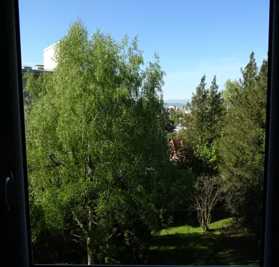 2-Zimmer-Wohnung mieten in Graz – 40 m², € 550 – Bild 8 von 11
