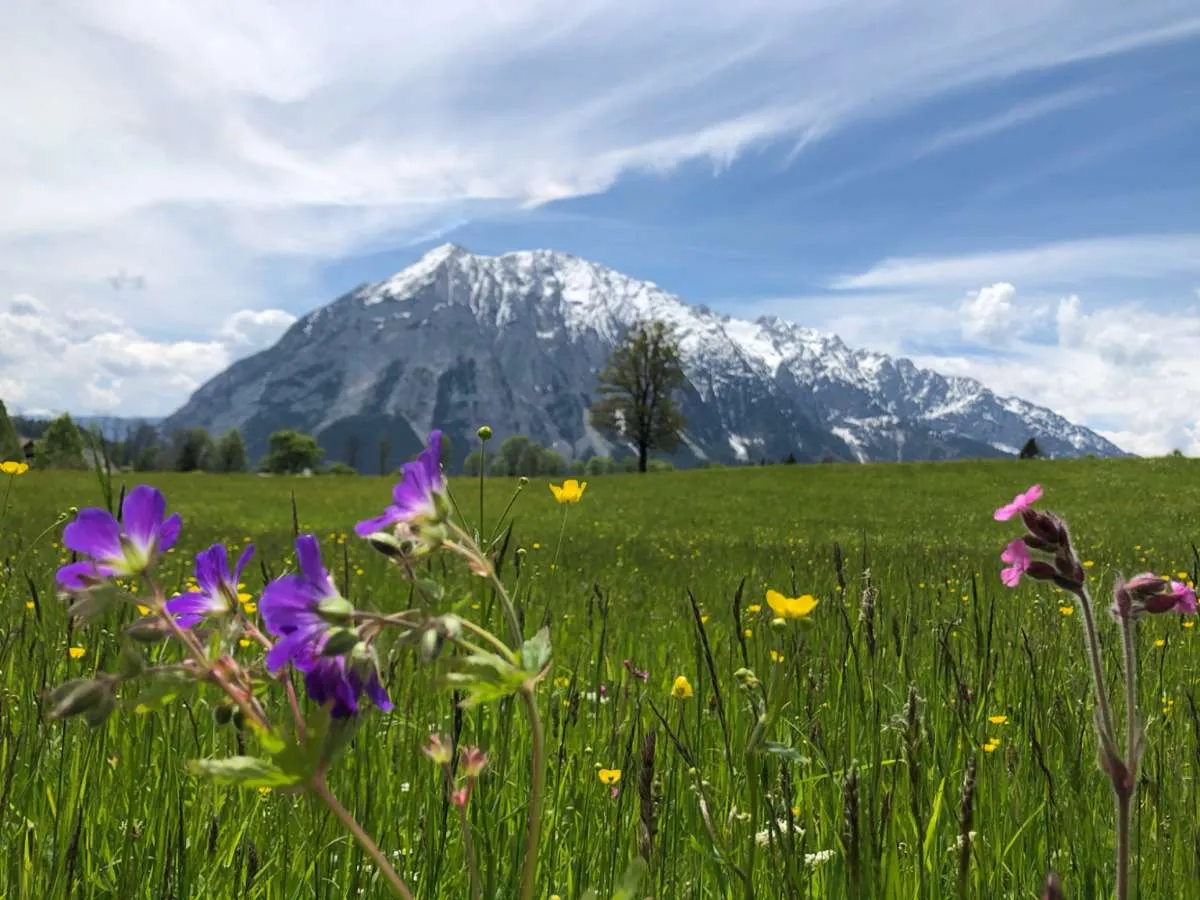 Wohnung – Tauplitz - Ansicht 2