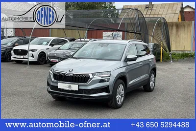 Skoda Karoq 2,0 TDI 4x4 DSG Selection ACC AHK LED Nav...