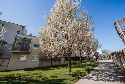 3-Zimmer-Wohnung kaufen in Salzburg Stadt – 77,38 m², € 510.000 – Bild 17 von 18