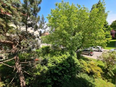 Helle, neu sanierte 3-Zimmer-Wohnung mit ca. 52 m² in ruhiger Grünlage nahe der Jagdschlossgasse