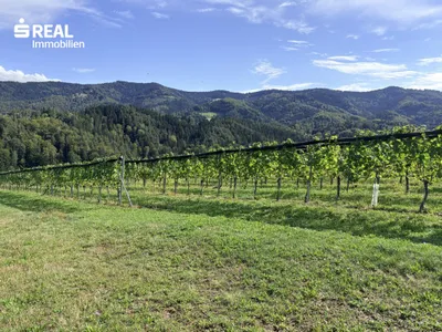 Grundstück kaufen in Deutschlandsberg – 53 992 m², € 188.000
