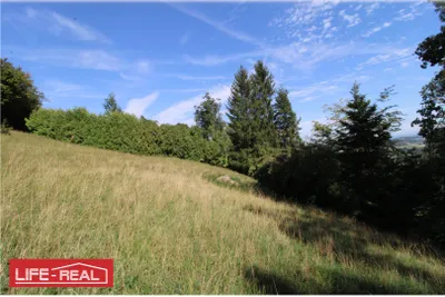 Grundstück kaufen in Vöcklabruck – 3 997 m², € 224.000