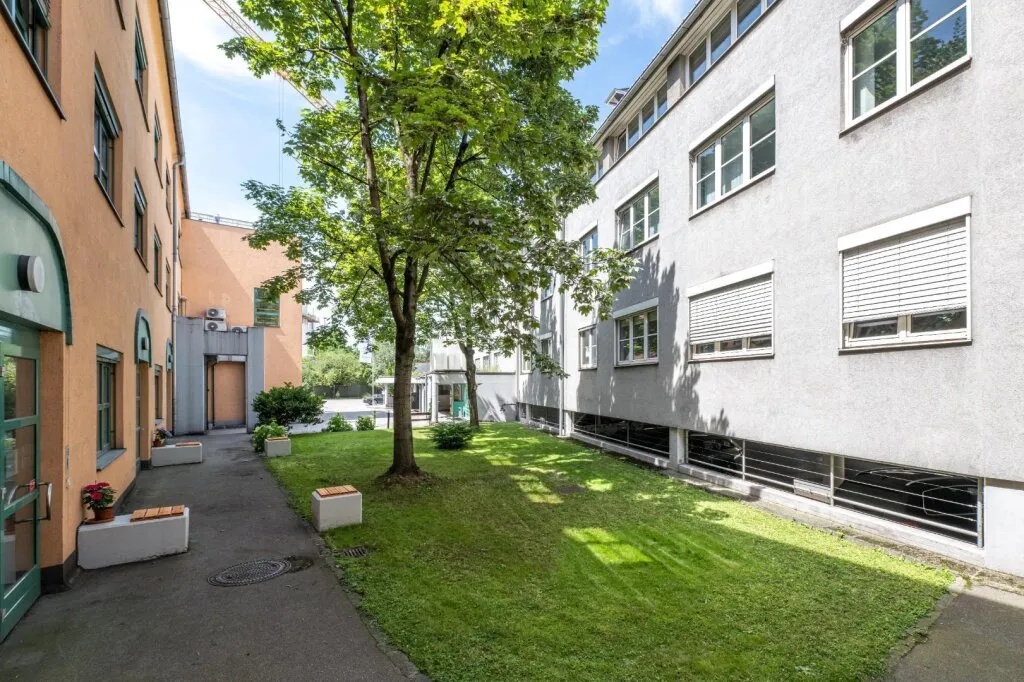 Sonnig, freundliches 6 Zimmer-Büro! Erstbezug nach Sanierung! - Ansicht 2