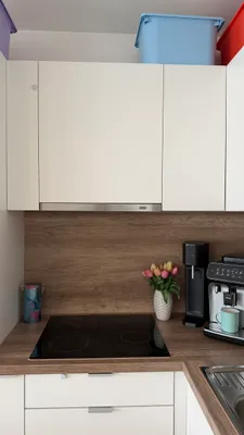1-Zimmer-Wohnung mieten in Wiener Neustadt – 40 m², € 612 – Bild 2 von 14