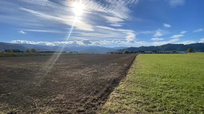 Immobilie kaufen in Murtal – 49 000 m² – Bild 9 von 23