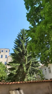3-Zimmer-Wohnung kaufen in Wien – 105 m², € 425.000 – Bild 39 von 59