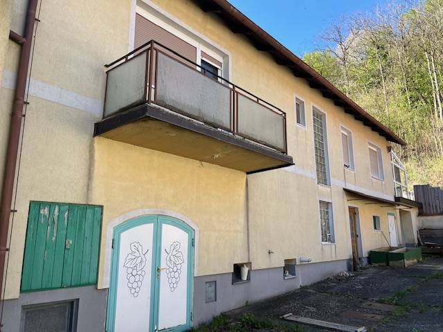 Zweifamiliengebäude mit Waldanteil, zu sanieren - Ansicht 3