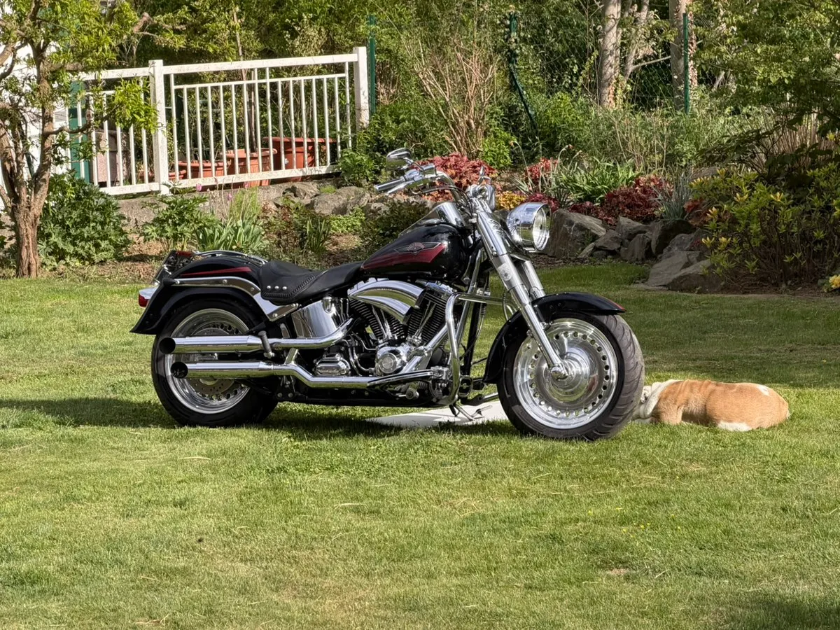 Harley-Davidson Softail