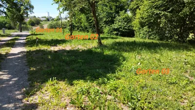 Immobilie mieten in Waidhofen an der Thaya – 191 m², € 178 – Bild 5 von 15