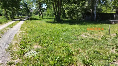 Immobilie mieten in Waidhofen an der Thaya – 191 m², € 178 – Bild 11 von 15