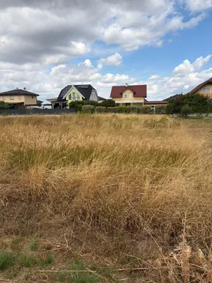 Grundstück kaufen in Gänserndorf – 835 m², € 259.000 – Bild 6 von 8