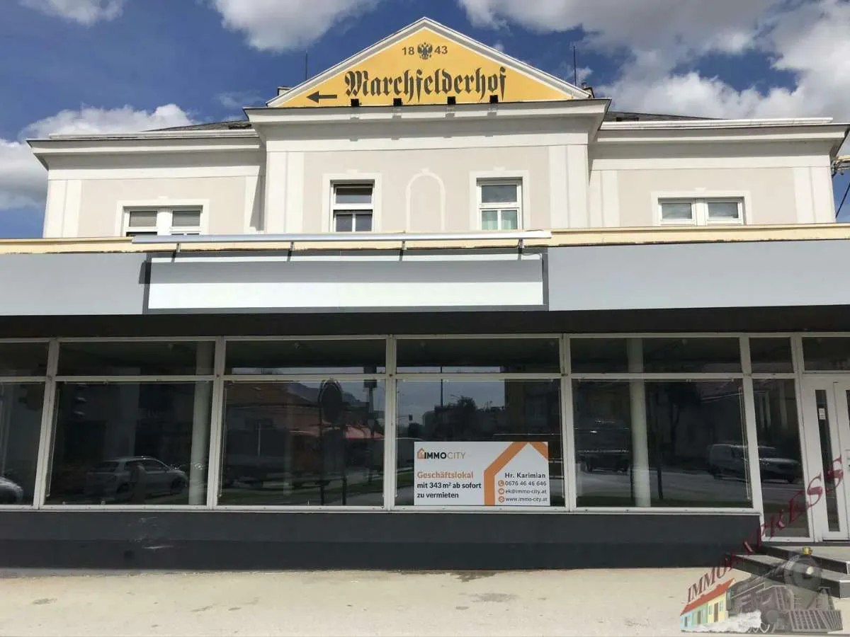 Beeindruckendes Gewerbeobjekt in top-Lage direkt in Deutsch Wagram, Niederösterreich - Ansicht 3