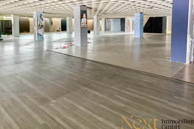 Gewerbeimmobilie mieten in Wels – 3 341 m², € 24.058 – Bild 3 von 8
