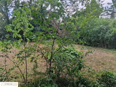 4-Zimmer-Haus kaufen in Korneuburg – 106,4 m², € 620.000 – Bild 43 von 73