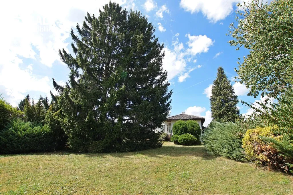 Sonnenland Burgenland! Traumhafter Bungalow mit Vollkeller und Carport in toller Lage! - Ansicht 3