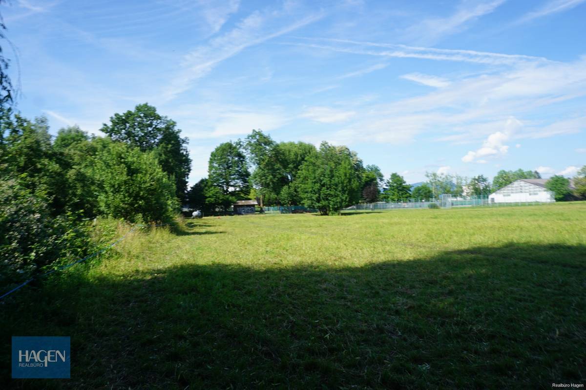 Lustenau Vorach Baugrundstück mit 1.553 m² im Grünen - teilbar – pohled 3