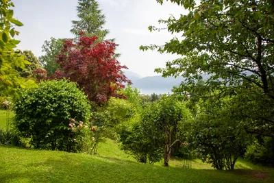 Immobilie kaufen in Spittal an der Drau – 440 m² – Bild 15 von 18