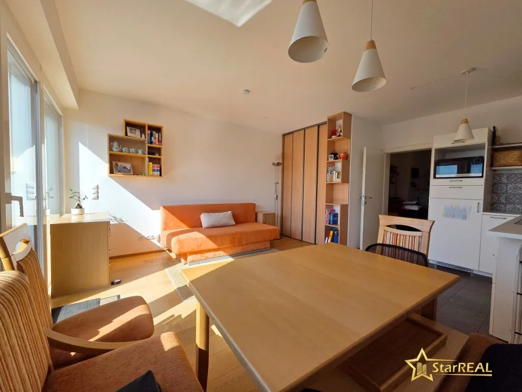 SENSATIONSPREIS! LICHTDURCHFLUTETE DACHGESCHOSSWOHNUNG MIT TERRASSE, TIEFGARAGENPLATZ & PERFEKTEM GRUNDRISS - NUR 400 METER BIS WIEN! - Ansicht 2