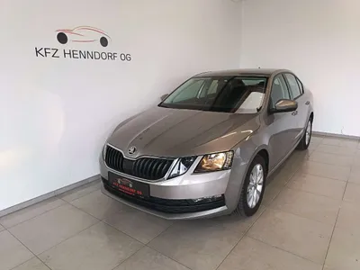 Skoda Octavia 1,6 TDI Ambition ab € 170 / Monat