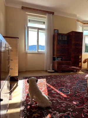 Gewerbeimmobilie kaufen in Villach – 250 m², € 898.000 – Bild 19 von 27