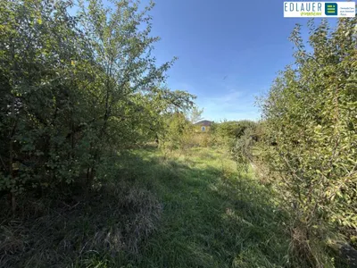 4-Zimmer-Haus kaufen in Sankt Pölten Land – 73 m², € 245.000 – Bild 5 von 23