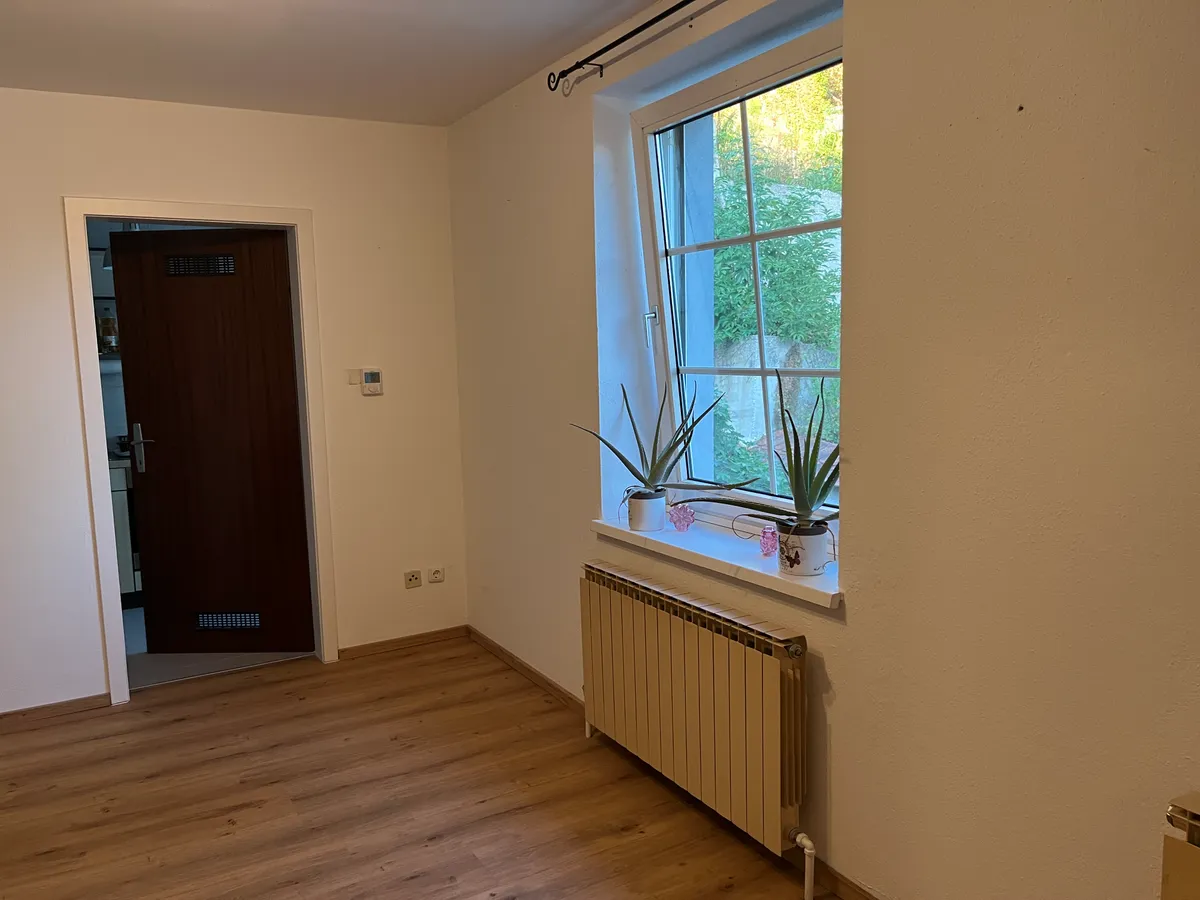 Wohnung – Steyr, Zwischenbrücken, Steyrdorf - Ansicht 3