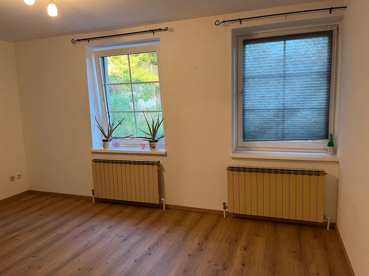 Wohnung – Steyr, Zwischenbrücken, Steyrdorf - Ansicht 2