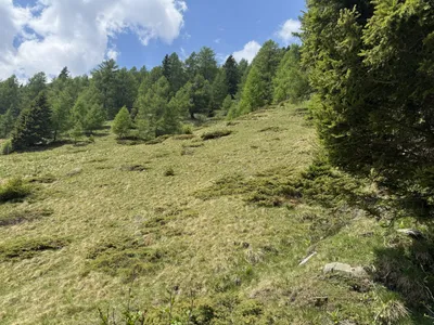 Grundstück kaufen in Spittal an der Drau – 350 000 m² – Bild 24 von 24