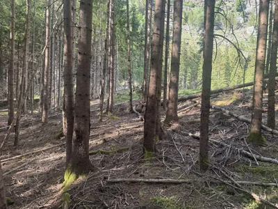 Grundstück kaufen in Spittal an der Drau – 350 000 m² – Bild 21 von 24