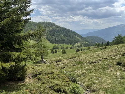 Grundstück kaufen in Spittal an der Drau – 350 000 m² – Bild 23 von 24