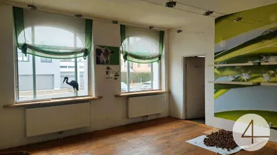 3-Zimmer-Wohnung kaufen in Zwettl – 174 m², € 199.000 – Bild 4 von 22