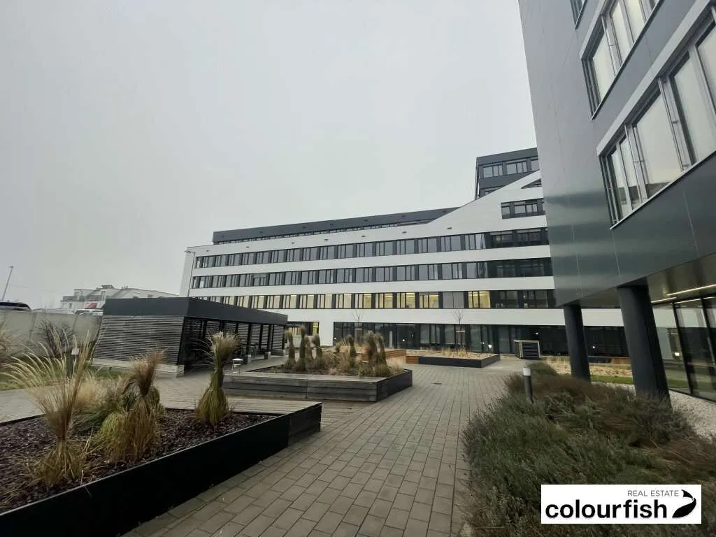 Moderne Büroflächen im SILO NEXT - Ansicht 2
