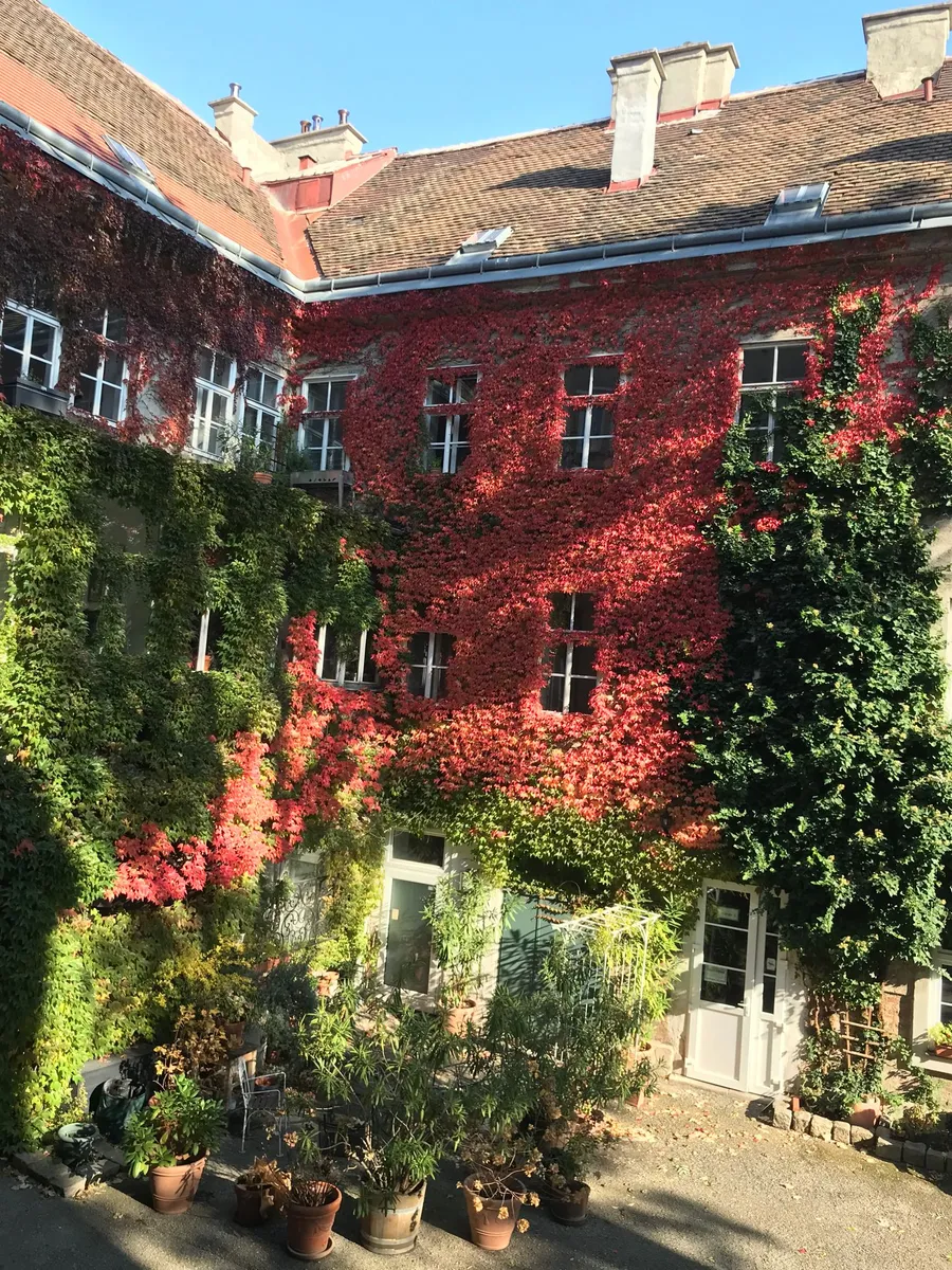 Büroplatz im Gemeinschaftsbüro Green Office Wien 7 - Ansicht 2