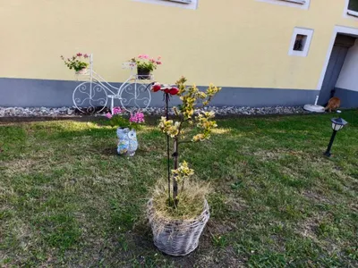 3-Zimmer-Haus kaufen in Horn – 150 m², € 108.000 – Bild 15 von 19