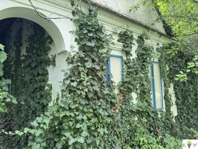 6-Zimmer-Haus kaufen in Neusiedl am See – 274,66 m², € 599.000 – Bild 34 von 39